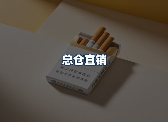 专业团队办公环境
